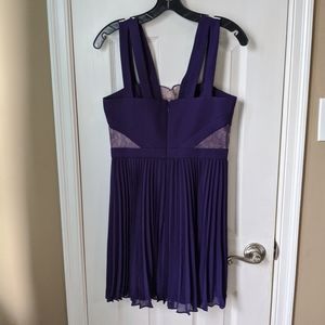 NWT BCBGMAXAZRIA Lace/chiffon dress